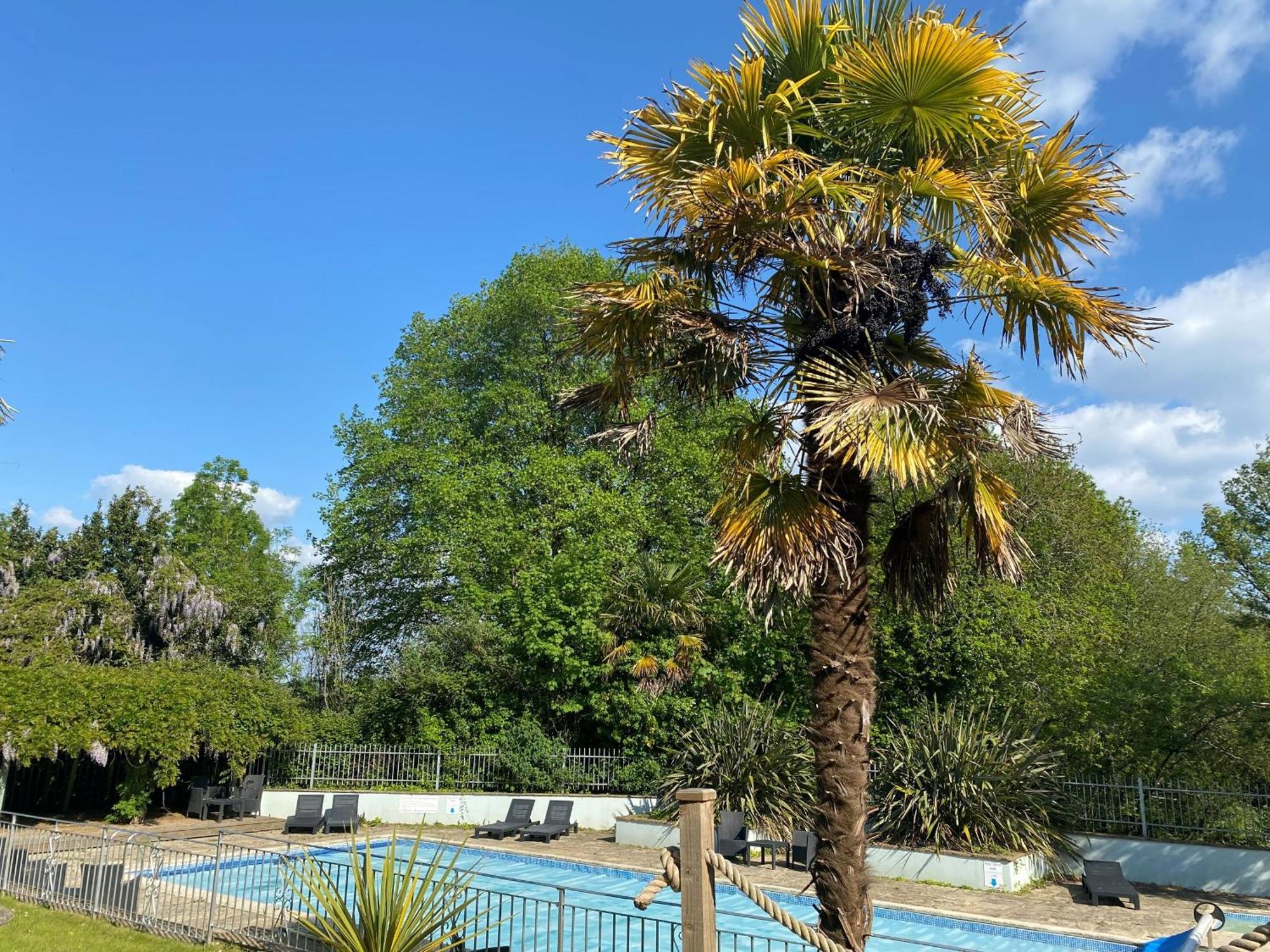 ליים ריג'יס Fernhill Hotel מראה חיצוני תמונה